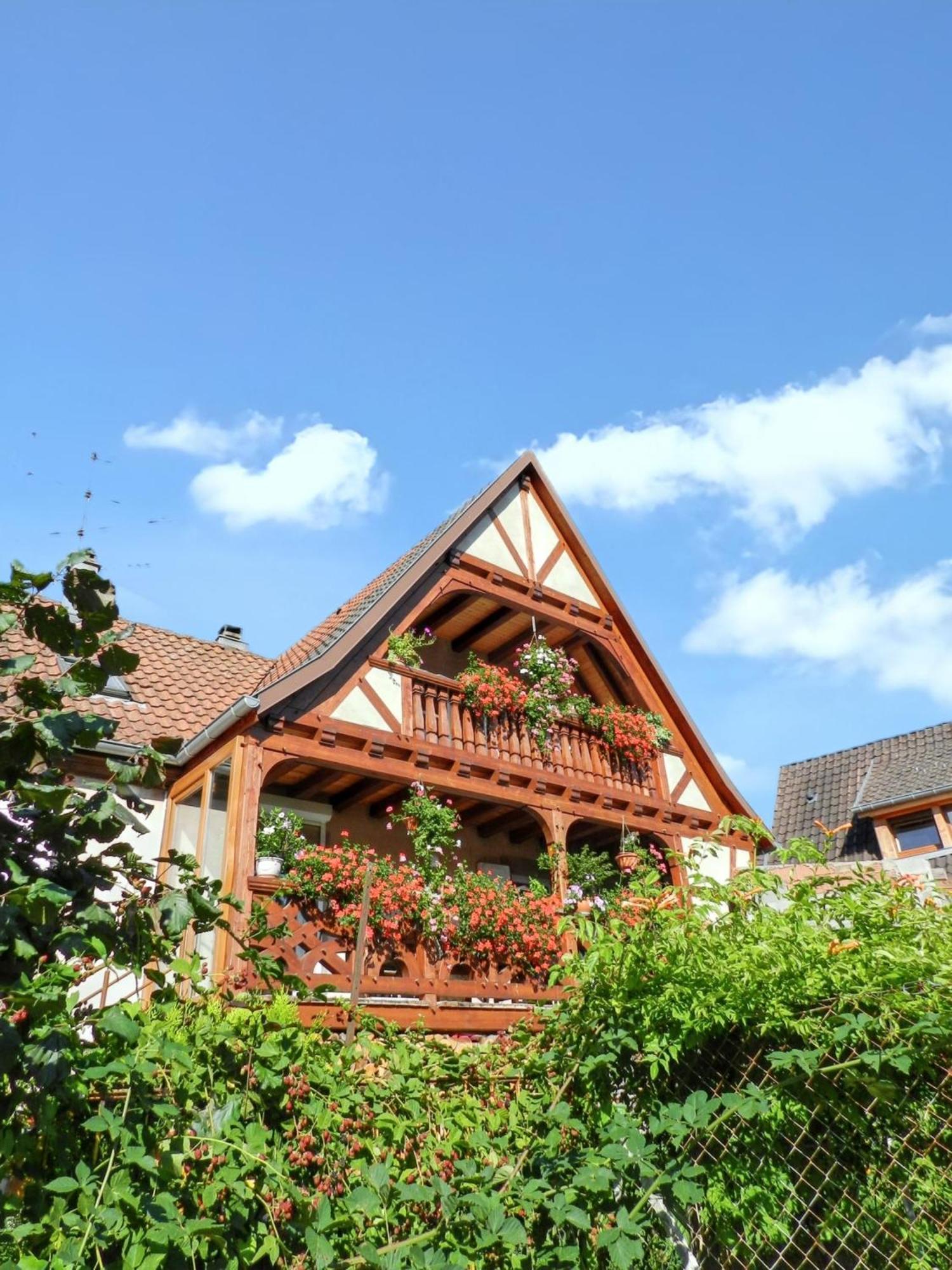 Maison Charmante Avec Vue Sur La Montagne A Triembach-Au-Val エクステリア 写真