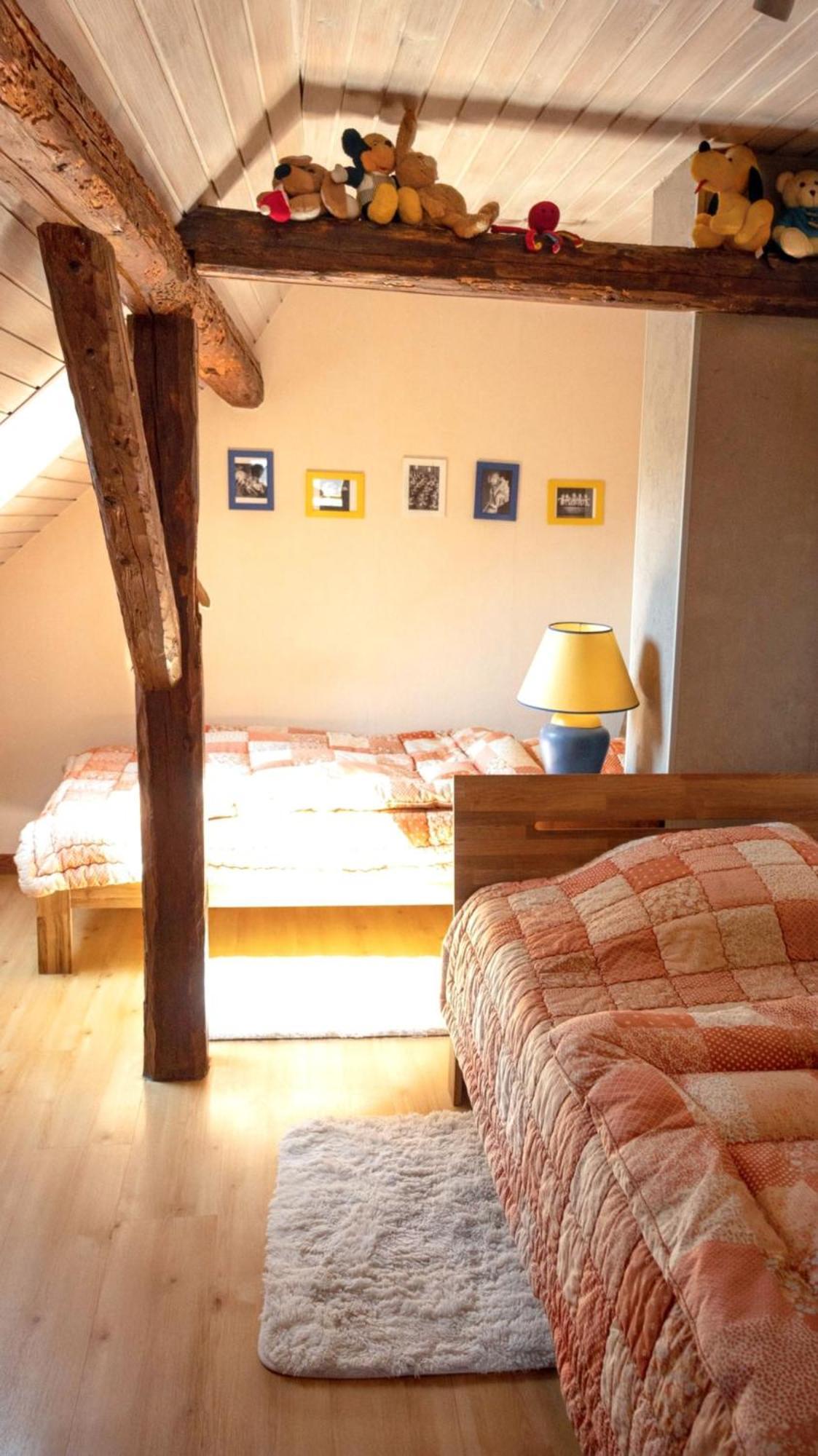 Maison Charmante Avec Vue Sur La Montagne A Triembach-Au-Val エクステリア 写真